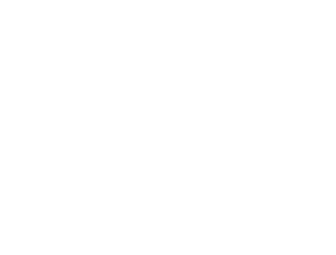 Google Partner