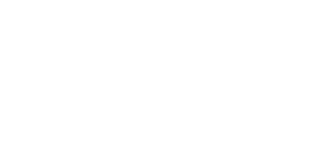 Meta Business Partner