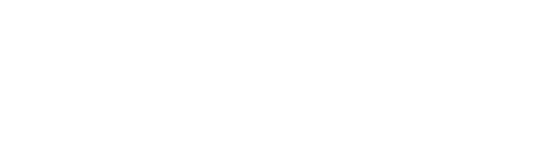 TikTok Marketing Partner